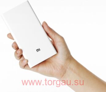 Xiaomi Mi 2 20000 mAh power bank