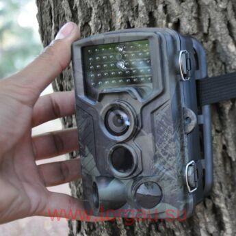 ФИЛИН 200 (16Мп, Full HD, 2 датчика движения)