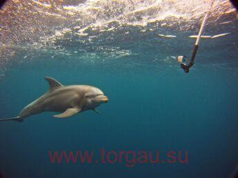 Экшн камера GoPro HD HERO 3 Black Edition (Образцы фото - ЗДЕСЬ!)