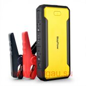 RoyPow J12 (12000 ����) 44,4 ���, 600A