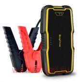 RoyPow J018 (18000 ����) 66,6 ���, 800A